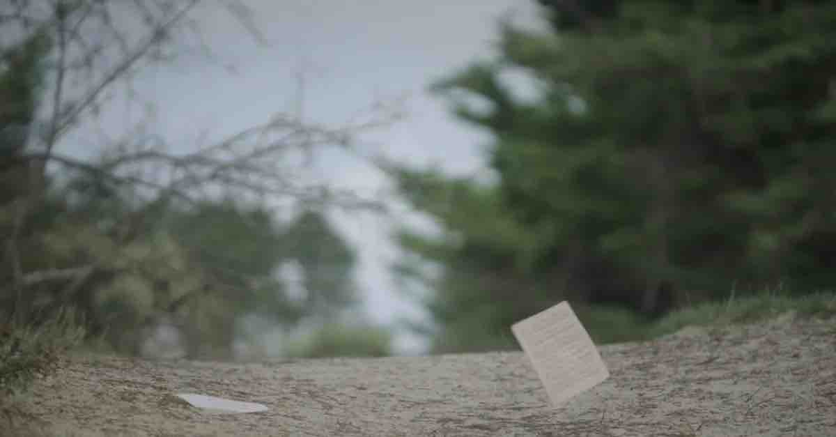 France Télévisions : le documentaire inédit «Le souffle du vent» sur ICI Bretagne et france.tv le jeudi 12 mars