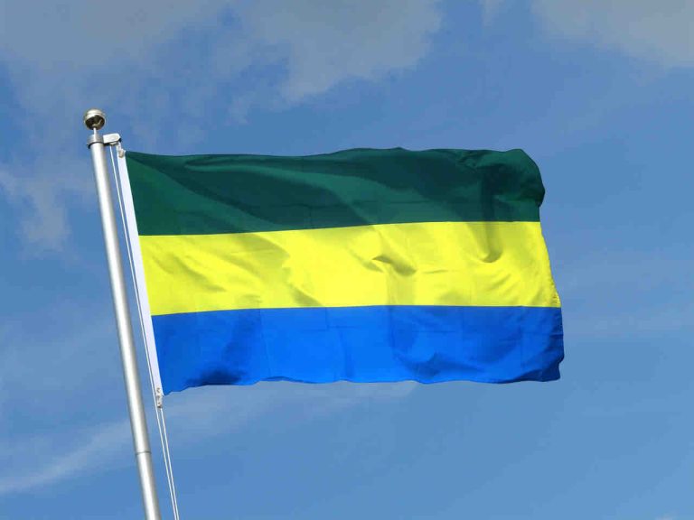 Le Gabon accuse Meta de régulation insuffisante et suspend ses plateformes