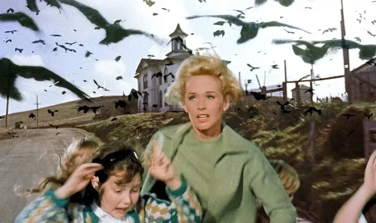 ARTE : 841.000 cinéphiles devant «Les oiseaux» en Prime