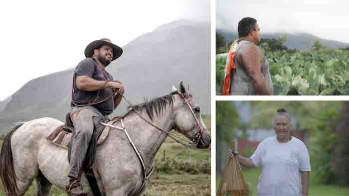 SIA 2026 : le pôle Outre-mer de France Télé met à l’honneur l’agriculture ultramarine