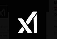 xAI : les cofondateurs quittent l’entreprise d’Elon Musk avant son introduction en Bourse