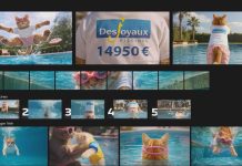 CANAL+ : l’écran d’accueil de l’appli aux couleurs de Desjoyaux