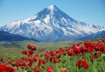 FIP : émission spéciale «Iran, Autrement» samedi 21 mars à 20h00