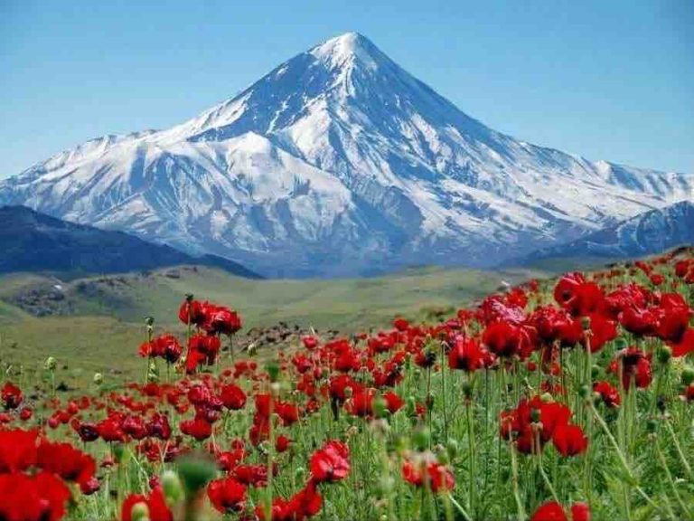 FIP : émission spéciale «Iran, Autrement» samedi 21 mars à 20h00