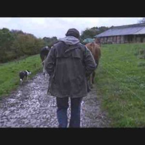 France 5 : l’inédit «Violence dans les champs» le 29 mars