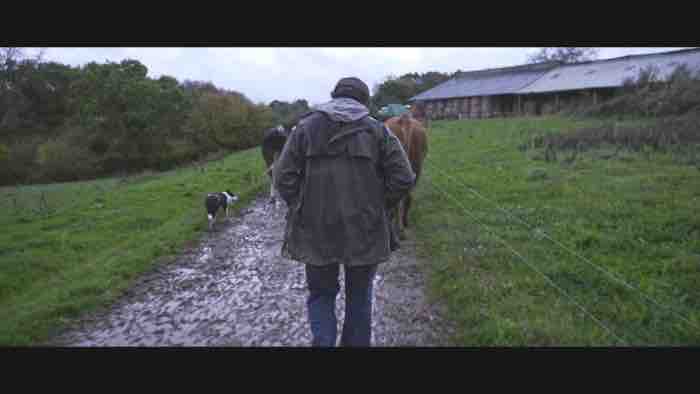 France 5 : l’inédit «Violence dans les champs» le 29 mars