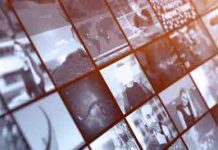 Les chaînes thématiques continuent de séduire les Français