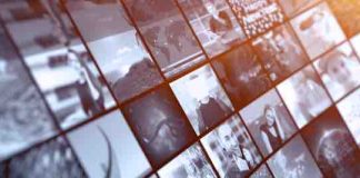 Les chaînes thématiques continuent de séduire les Français