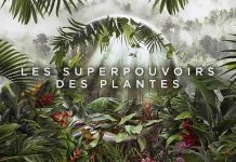France 5 : «Les superpouvoirs des plantes», leader du Prime TNT lundi