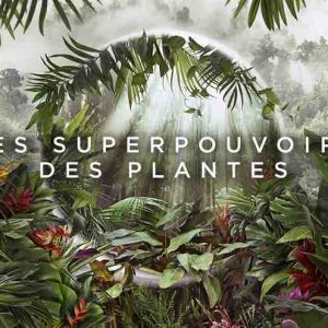 France 5 : «Les superpouvoirs des plantes», leader du Prime TNT lundi