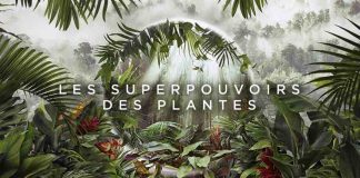 France 5 : «Les superpouvoirs des plantes», leader du Prime TNT lundi