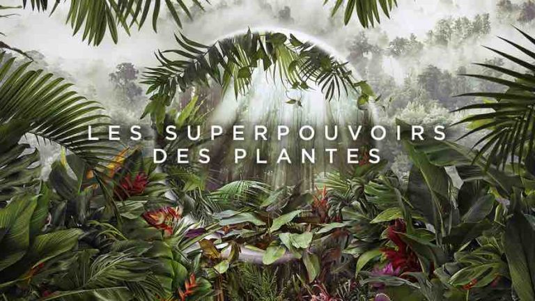 France 5 : «Les superpouvoirs des plantes», leader du Prime TNT lundi
