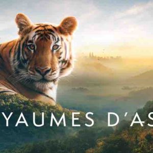 France 2 : 1.636.000 curieux devant le documentaire «Royaumes d’Asie» mardi