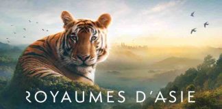 France 2 : 1.636.000 curieux devant le documentaire «Royaumes d’Asie» mardi