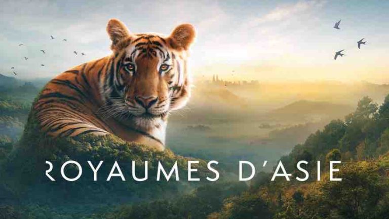 France 2 : 1.636.000 curieux devant le documentaire «Royaumes d’Asie» mardi