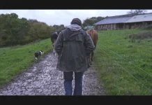 France 5 : le documentaire inédit «Violence dans les champs» dimanche 29 mars à 21h05