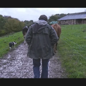 France 5 : le documentaire inédit «Violence dans les champs» dimanche 29 mars à 21h05 