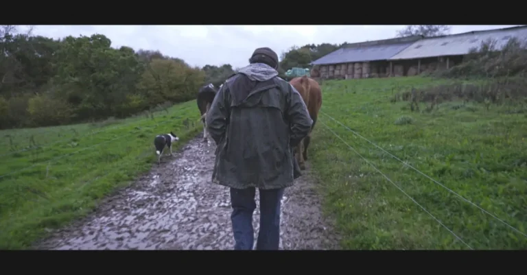 France 5 : le documentaire inédit «Violence dans les champs» dimanche 29 mars à 21h05 
