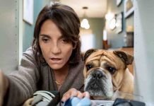 CANAL+ : «DÉSORDRES», la série de Florence Foresti, part en tournage pour une 2ème saison