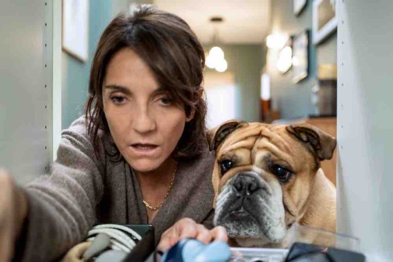 CANAL+ : «DÉSORDRES», la série de Florence Foresti, part en tournage pour une 2ème saison