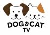 DOG&CAT TV s’étend aux Pays-Bas et rejoint KPN