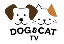 DOG&CAT TV s’étend aux Pays-Bas et rejoint KPN