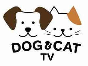 DOG&CAT TV s’étend aux Pays-Bas et rejoint KPN