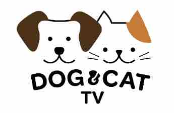 DOG&CAT TV s’étend aux Pays-Bas et rejoint KPN