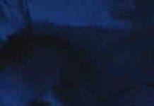 France 5 : «À la recherche du sommeil perdu», leader du Prime TNT mardi