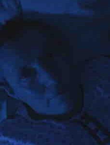 France 5 : «À la recherche du sommeil perdu», leader du Prime TNT mardi