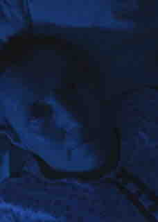 France 5 : «À la recherche du sommeil perdu», leader du Prime TNT mardi