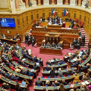Réseaux sociaux : le Sénat vote une interdiction encadrée pour les moins de 15 ans