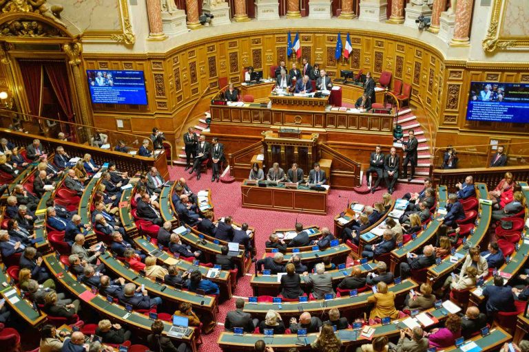 Réseaux sociaux : le Sénat vote une interdiction encadrée pour les moins de 15 ans