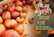 France 5 : «Retrouver le goût de la tomate», leader du Prime TNT mardi