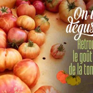 France 5 : «Retrouver le goût de la tomate», leader du Prime TNT mardi