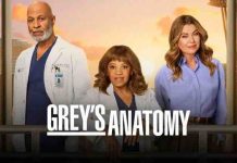 TF1 : «Grey’s Anatomy», petit leader du Prime mercredi pour son retour