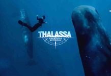 France 5 : «Thalassa, aventures extrêmes», leader du Prime TNT