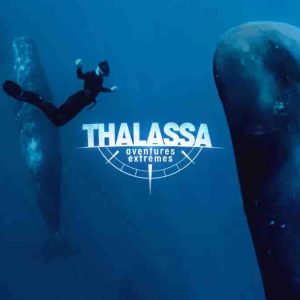 France 5 : «Thalassa, aventures extrêmes», leader du Prime TNT