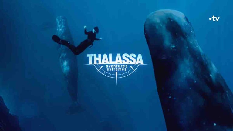 France 5 : «Thalassa, aventures extrêmes», leader du Prime TNT