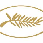 Festival de Cannes: 2 Prix pour des films soutenus par TV5MONDE