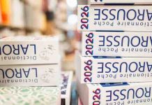 Onigiri, crush, instavidéaste… les nouveaux mots qui entrent dans les dictionnaires en 2027