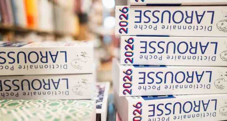 Onigiri, crush, instavidéaste… les nouveaux mots qui entrent dans les dictionnaires en 2027