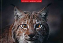 Reporters sans frontières lance le 82e numéro de «100 photos pour la liberté de la presse» avec Vincent Munier
