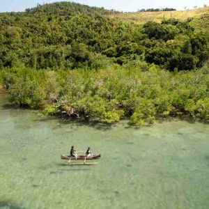 USHUAÏA TV : le documentaire inédit «Rise - Le secret des mangroves de Madagascar» samedi 20 juin à 20h50