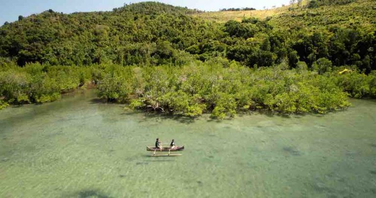 USHUAÏA TV : le documentaire inédit «Rise – Le secret des mangroves de Madagascar» samedi 20 juin à 20h50