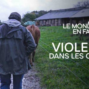 France 5 : «Violence dans les champs», leader du Prime TNT dimanche