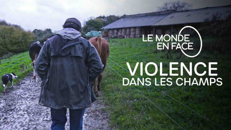 France 5 : «Violence dans les champs», leader du Prime TNT dimanche