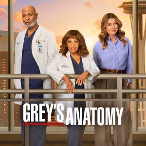 TF1 : «Grey’s Anatomy», 2e du Prime mercredi