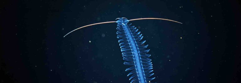 ARTE : soirée «Abysses» samedi 4 juillet dès 20h55