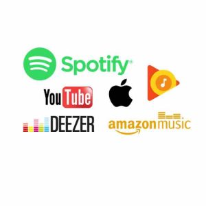 NPA : 14 millions de Français sont abonnés à une plateforme de streaming musical